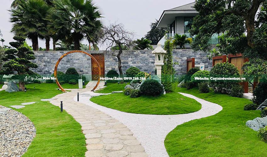 cỏ nhật giá tốt cỏ nhật giá tốt