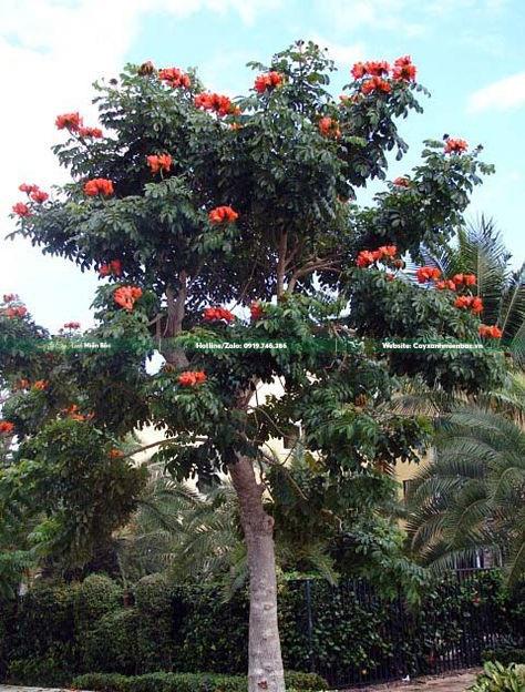 sò đo cam công trình